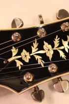1961-Epiphone-E212T-Sheraton-SB