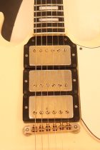 1961-SG-CTM-PWH2-TG0271