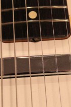 1961-TL-BLD2
