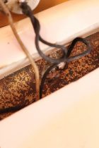 1962-JB-OWH-Gold-TF0023