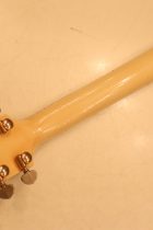 1962-SG-CTM-PWH2-TG0204