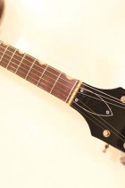 1963-GRETSCH-6119-Tennessean