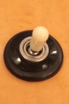 1964-ES175D-NAT-TG0289