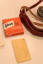 1964-ES335TD-CH-Big2