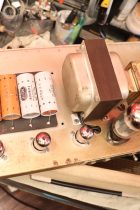 1964-Fender Bassnan-WHT-TA0016