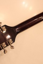 1964-GRETSCH-6119-Tennessean14
