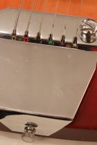 1964-Rickenbacker-325-FG-TO0060