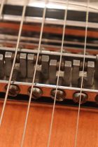 1964-Rickenbacker-325-FG-TO0060