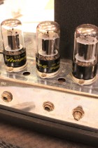 1965-Ampeg-B15N-BLUE3