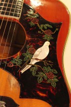 1965-DOVE-CH2