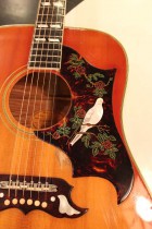 1965-DOVE-CH2