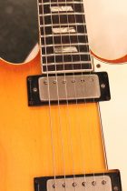 1965-Epiphone-Riviera-SB3