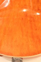 1965-Epiphone-Riviera-SB3