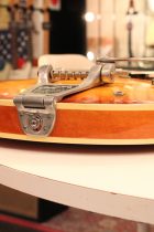 1965-Epiphone-Riviera-SB3