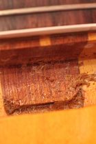 1965-Epiphone-Riviera-SB3