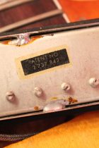 1965-Epiphone-Riviera-SB3