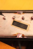 1965-Epiphone-Riviera-SB3