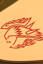 1965-FB1-NR-PB-TG0033