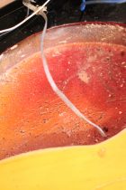 1965-Mosrite-VenturesBass-SB