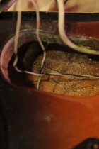 1966-MOSRITE-COMBO-SB