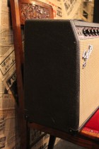 1966-Princeton-Reverb