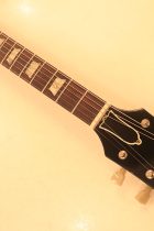 1966-SG-STD-CH-TG0236