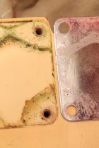 1966-TL-BLD-MCap-TF0021