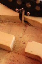 1966-TL-BLD-MCap-TF0021