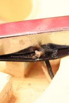 1966-TL-BLD-MCap-TF0021