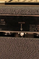1966-Vibro-Champ-BK