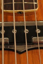 1967-Coronado-Bass2-WW