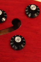 1967-ES335-CH-TG0088