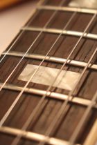 1967-ES335-CH-TG0088