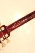 1967-ES335TD-CH