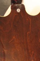 1967-Epiphone-Riviera-SB2