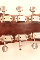 1967-Epiphone-Riviera-SB2