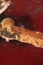 1967-Rickenbacker-625-JG