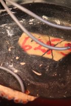 1967-Rickenbacker-625-JG