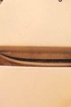 1967-TL-BLD-MCap2-TF0242
