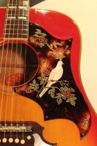 1968-DOVE-CH