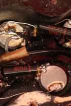 1968-LP-CTM-BLK2-TG0107