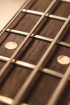 1968-MM-Bass-SBG-TG0071