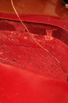 1968-MM-Bass-SBG-TG0071