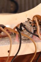 1968-TL-Thinline-Maho-TF0004