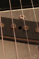 1969-All-Rose-TL5