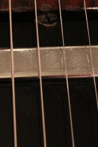1969-All-Rose-TL5