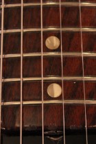 1969-All-Rose-TL5