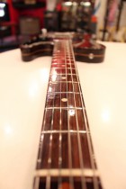 1969-All-Rose-TL5