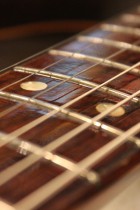 1969-All-Rose-TL5