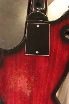 1969-Ampeg-AMUB-1